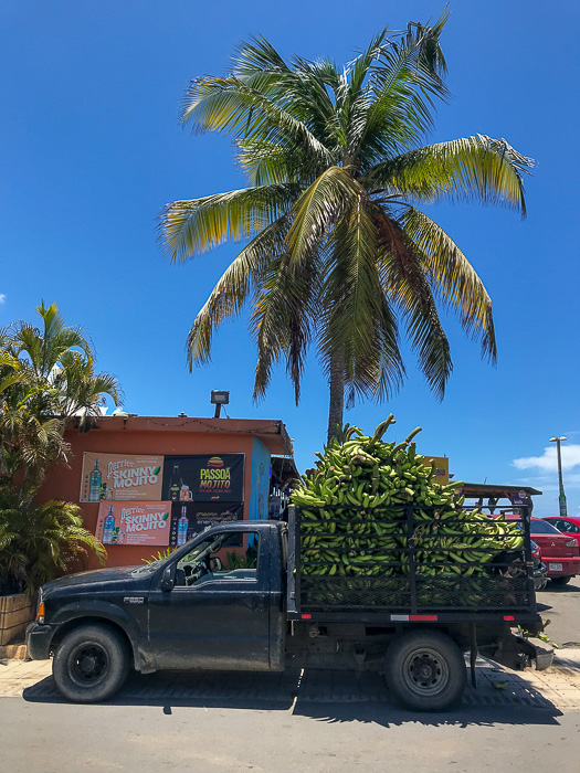 truck full of plantains outside Puerto Rican restaurant