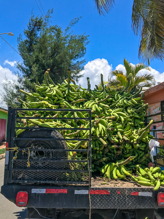 plantains in bed of truck
