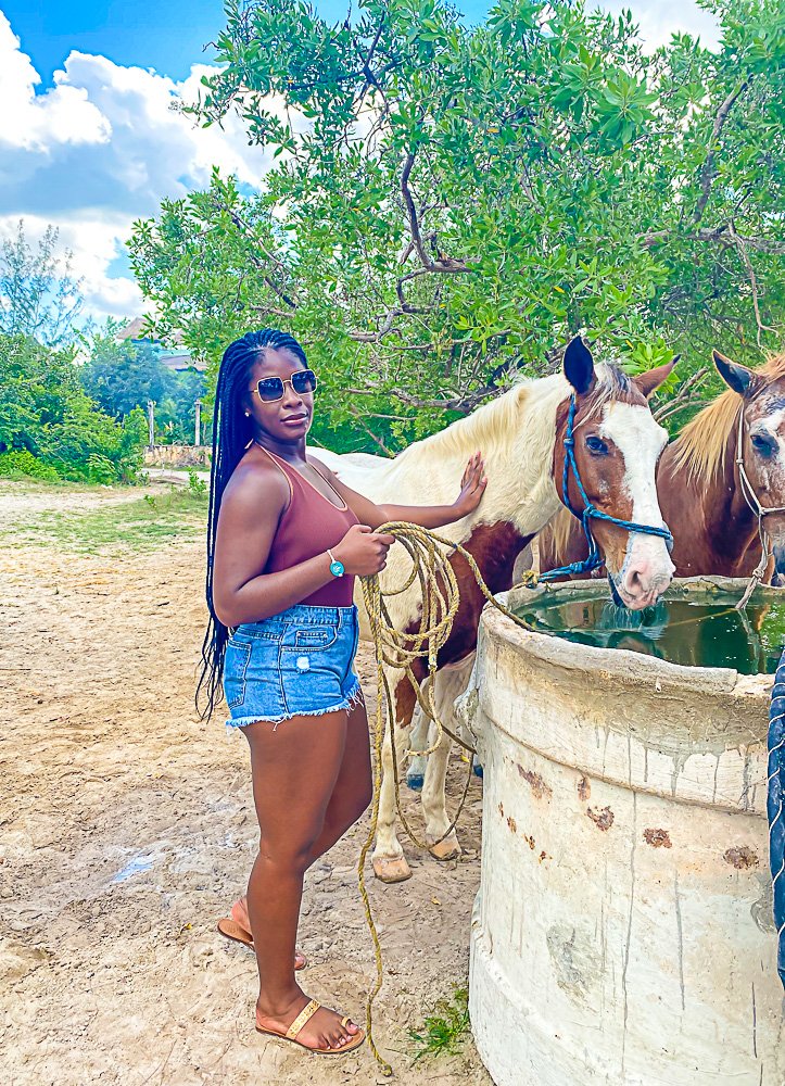 Jazzmine petting horse