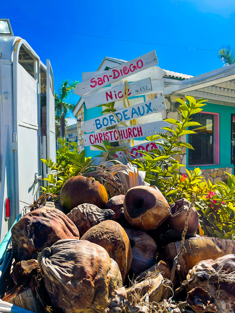 coconut shell display at Island Scoop on Turks & Caicos.