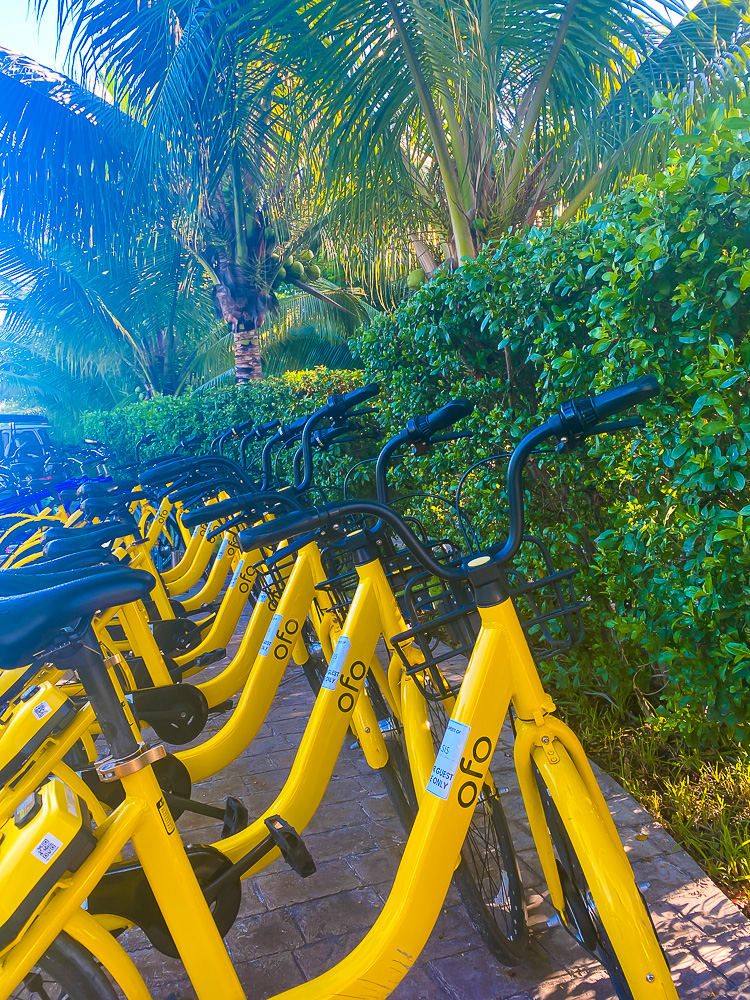 yellow bikes lined up at The Oasis at Grace Bay boutique hotel.