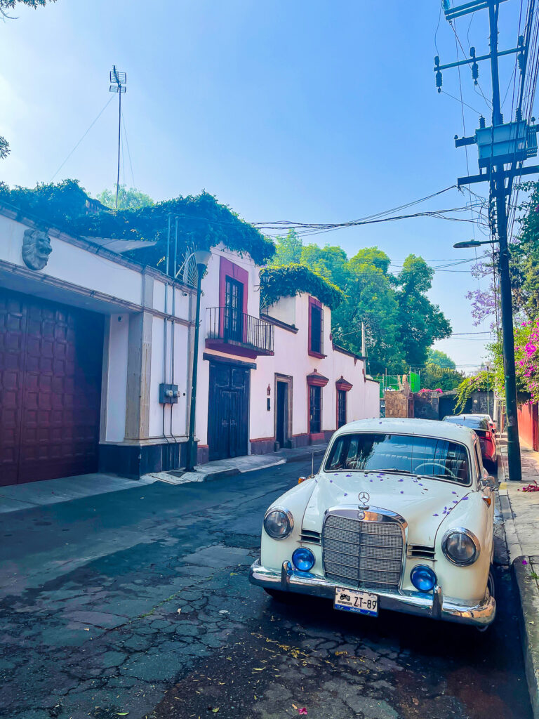 vintage Mercedes parked on street in Coyoacan covered in purple jacaranda flower petals with colorful homes in the background.