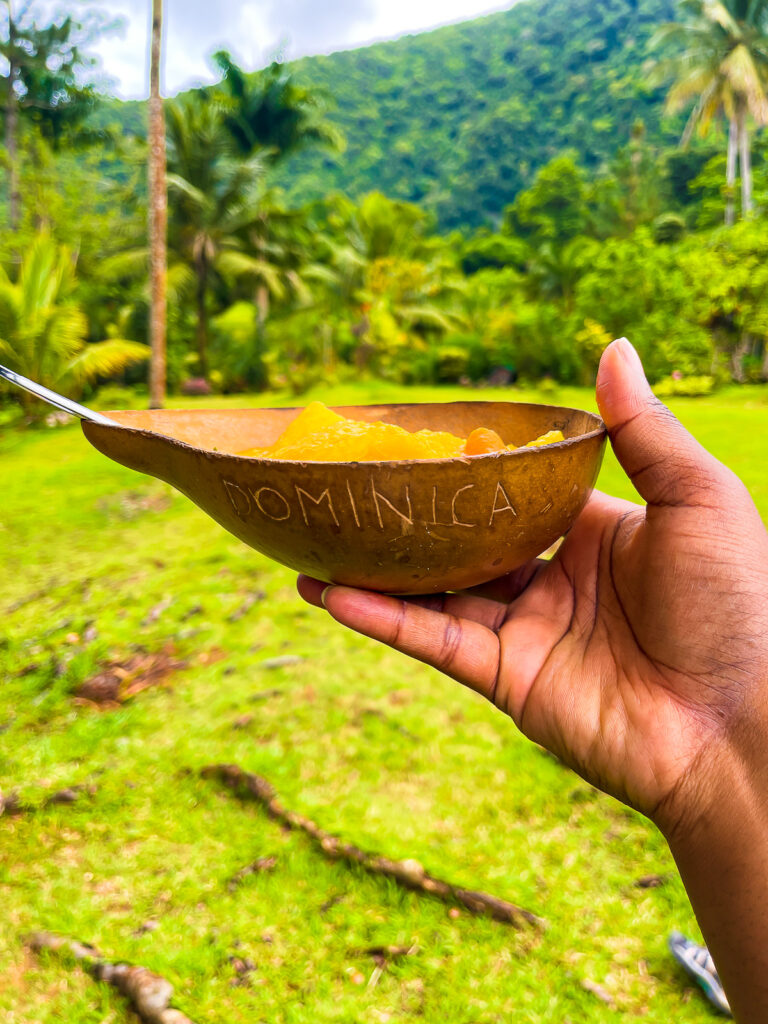 brown hand holding dried gourd bowl filled with squash soup organic Dominica root vegetables.
