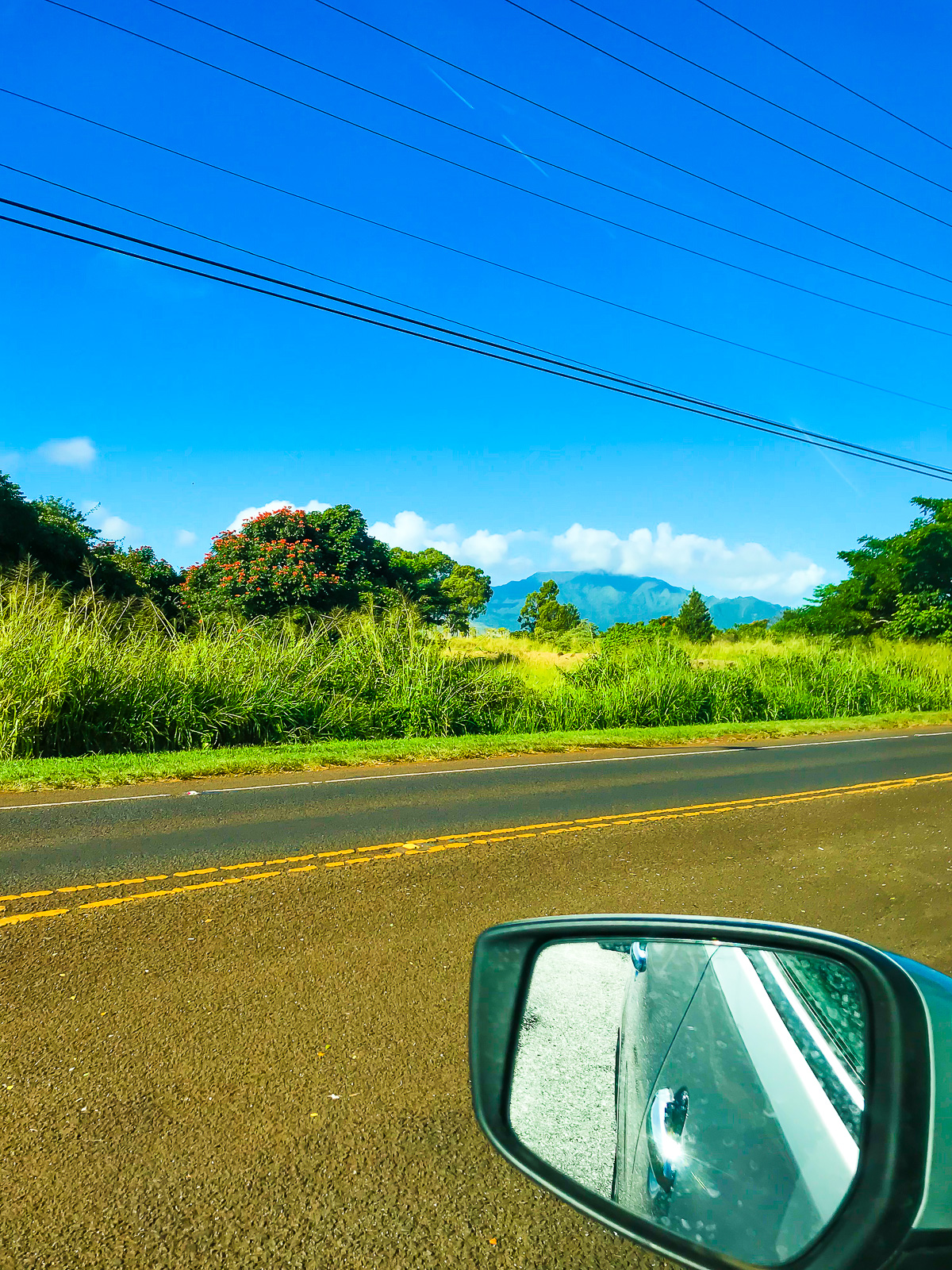 view of the roadside during Jazzmine's solo Oahu road trip itinerary.