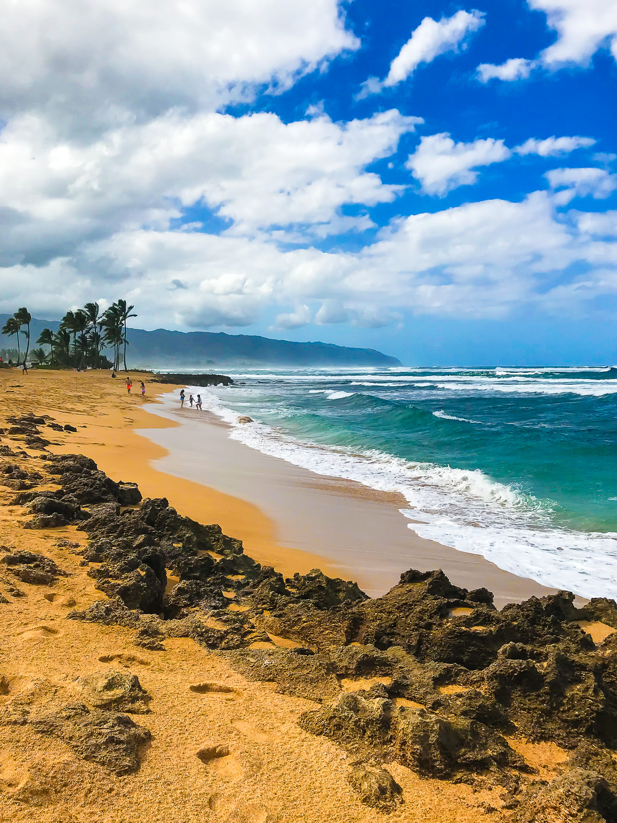 shoreline at Haleiwa Ali'i Beach in Oahu, HI.