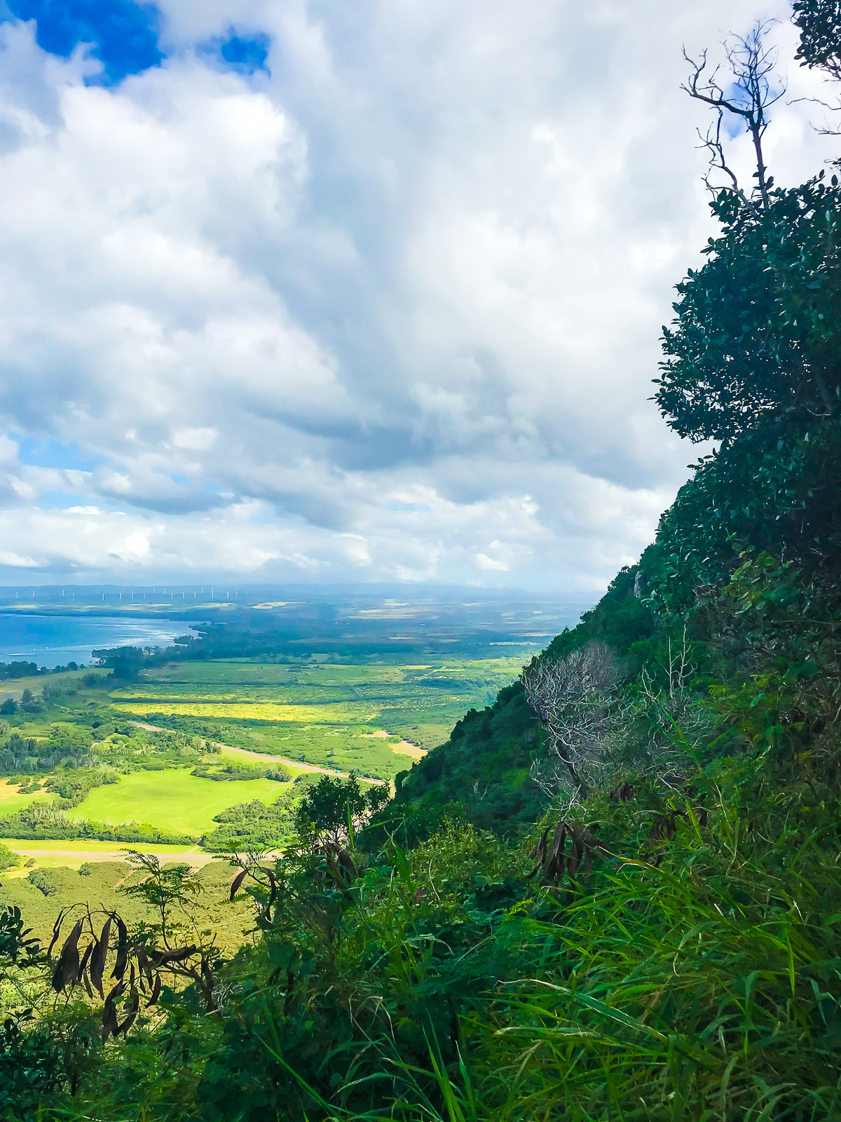 mountain view along Kealia Trail in Oahu, Hawaii.