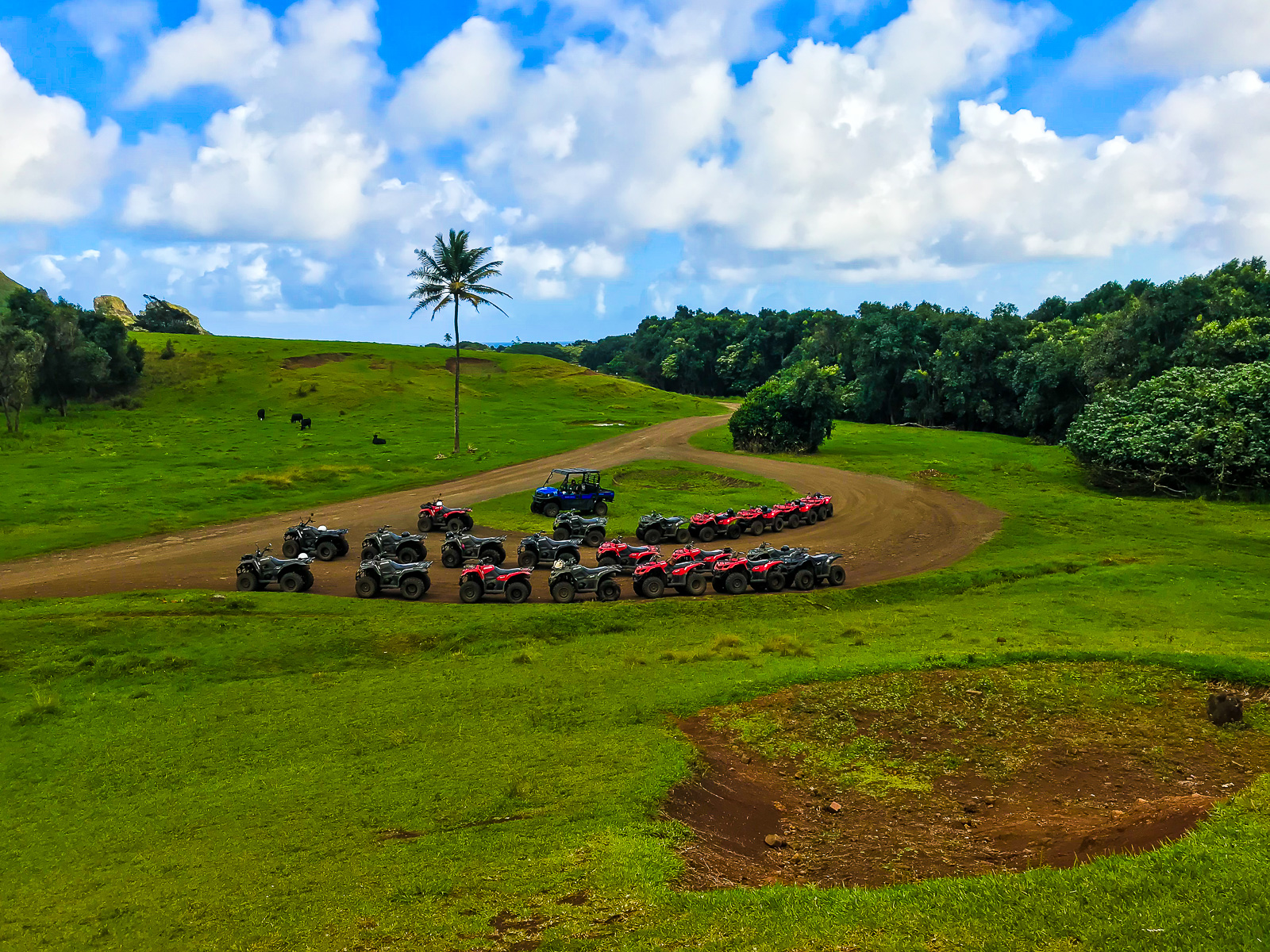 colorful ATVs and UTVs lined up at Kualoa Ranch on the windward side of Oahu.