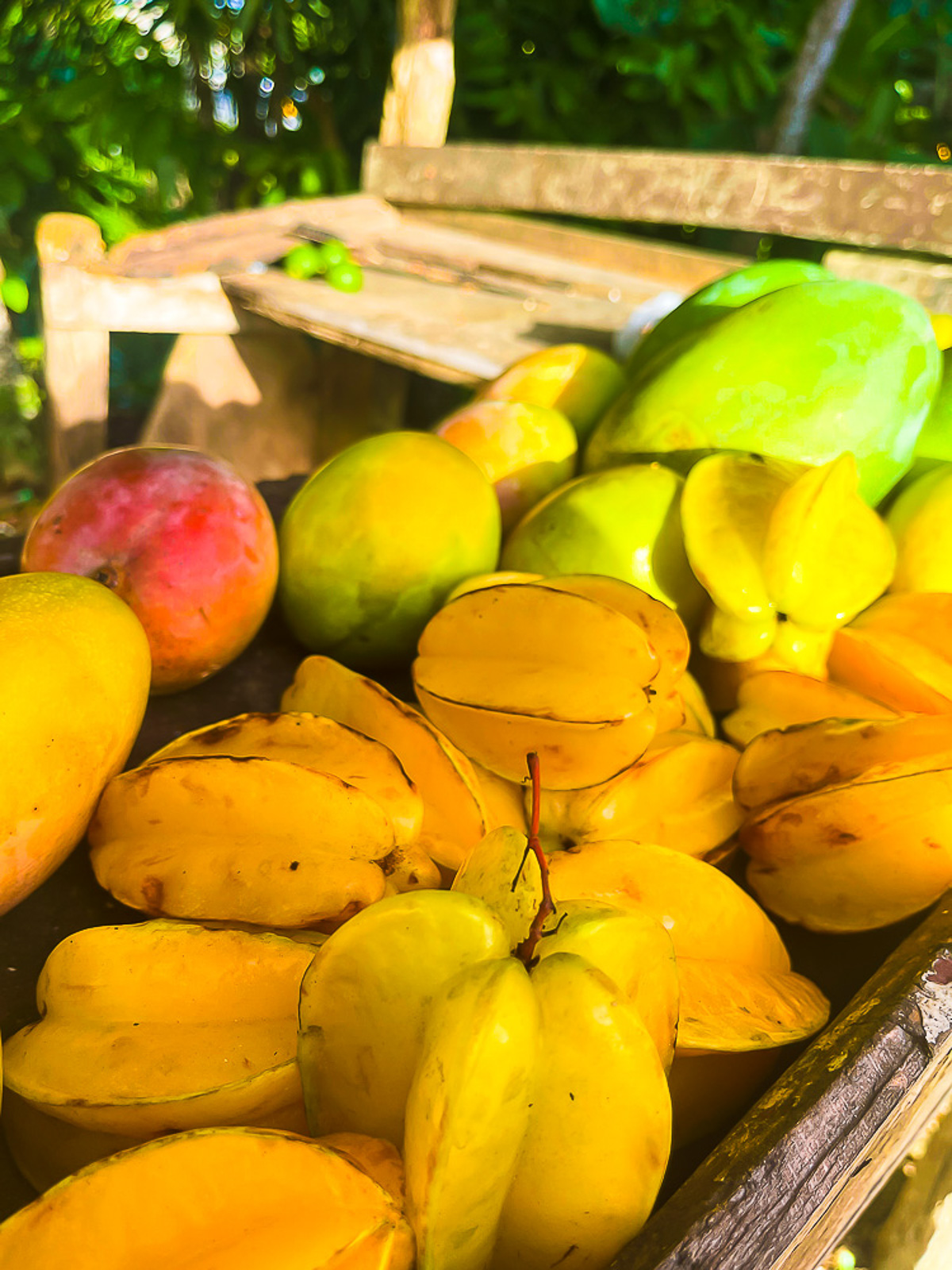 fresh star fruits and mangoes for sale at a small wooden fruit stand at the base of Montaña Redonda, RD.