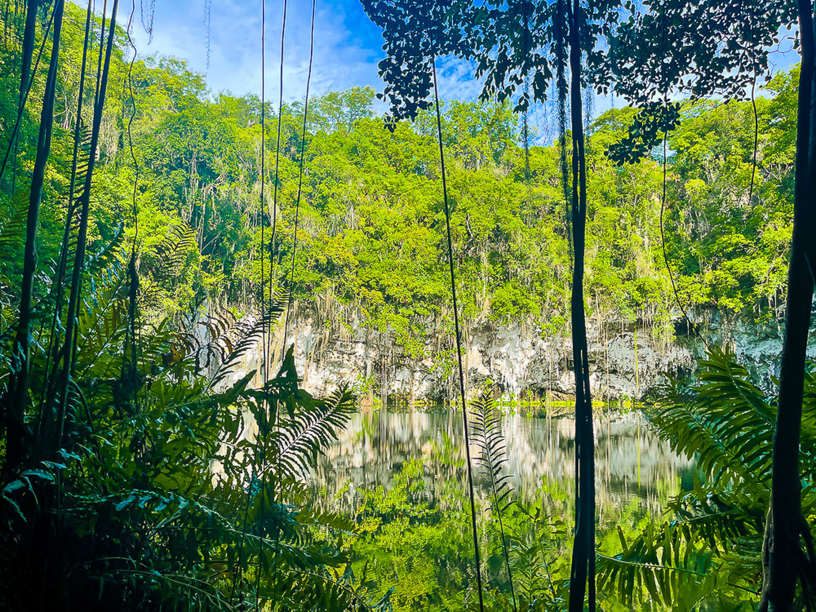 trees surrounding el lago de Los Zaramagullones in The Dominican Republic island.