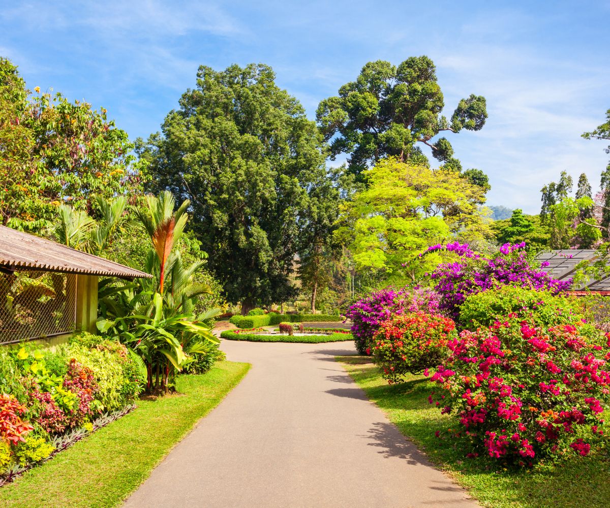 Dr. Rafael María Moscoso National Botanic Garden in Santo Domingo, Dominican Republic.