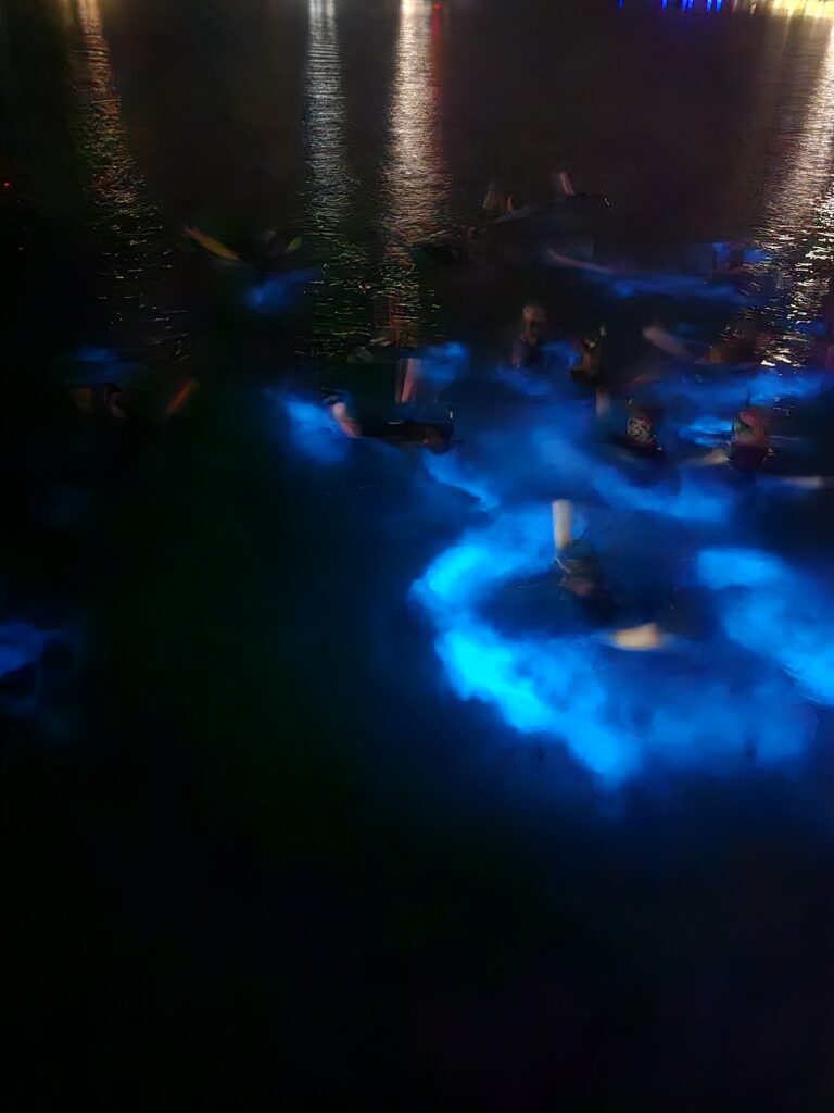 travelers swimming in Grand Cayman's bioluminescent bay at nighttime surrounding by glowing water.