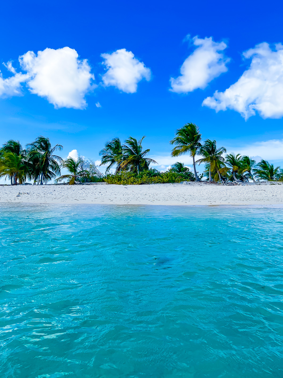 Sandy Island near Carriacou.