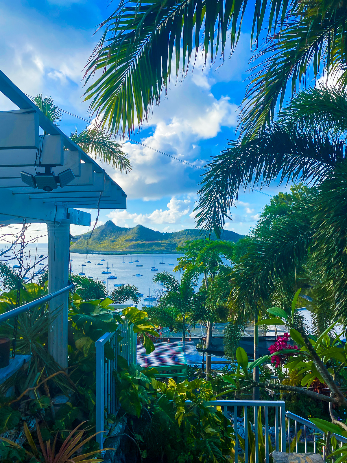 view of Tyrell Bay in Carriacou, Grenada, West Indies, from a hilltop homestead shrouded in lush tropical trees and flowers.
