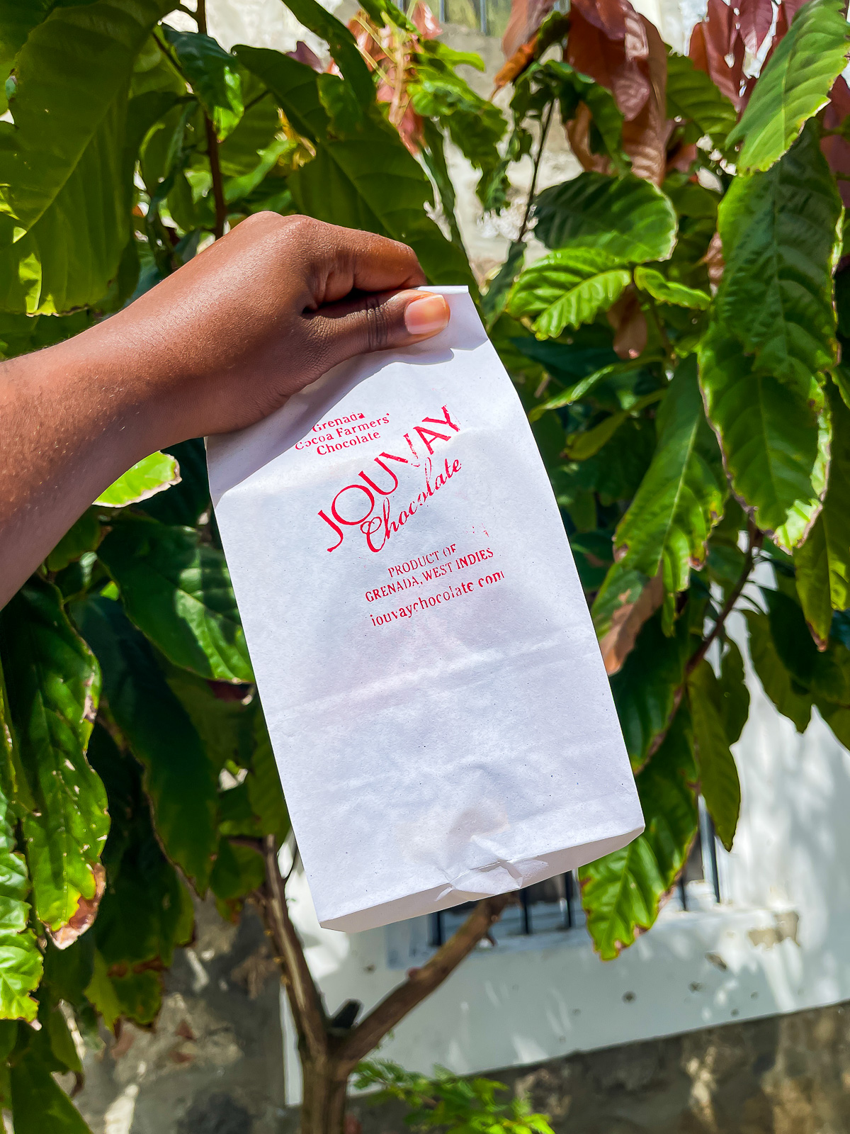 brown hand holding paper bag filled with locally-made chocolate bars from Jouvay Chocolate Factory in The Spice Island.