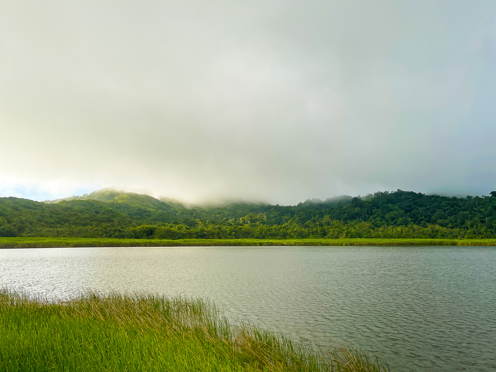 Grand Etang Lake in Grenada's National Park & Forest Reserve.