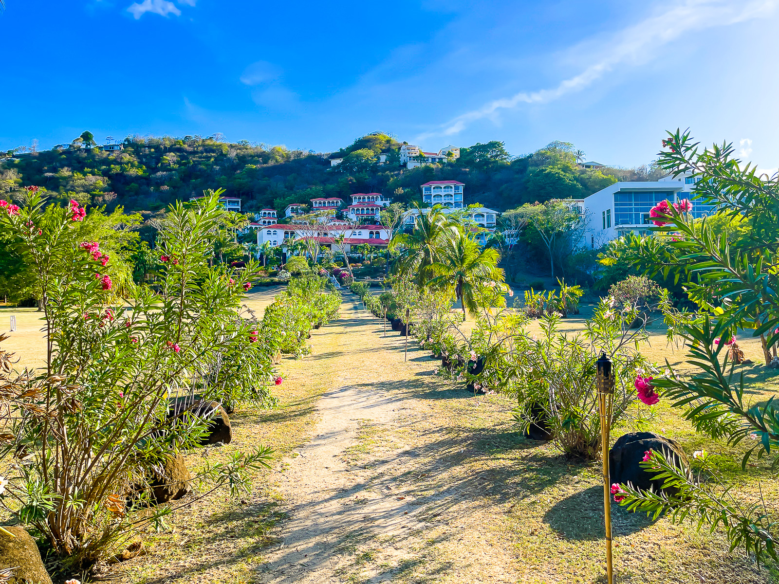 walkway up to Mount Cinnamon from Grand Anse Beach lined with tiki torches and flowering trees.