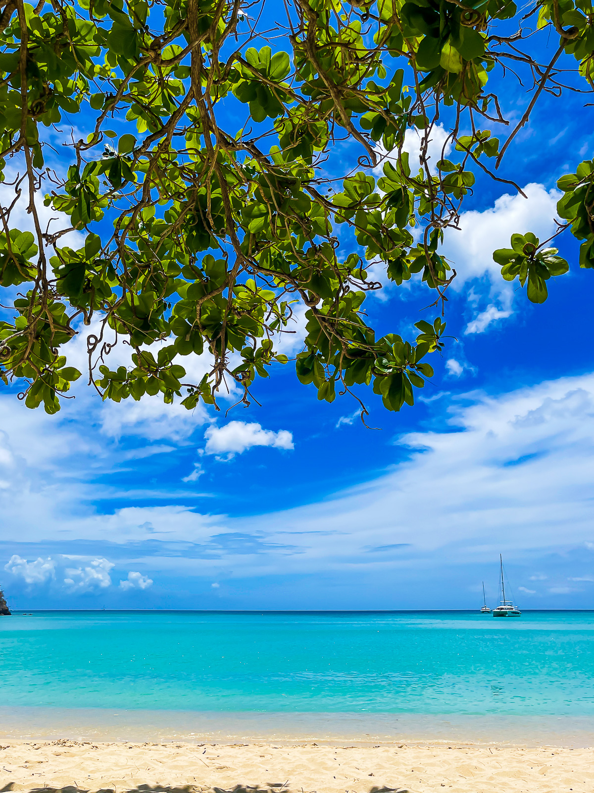 boats floating on the waters of Morne Rouge Bay in Grenada viewed from under a mango tree on BBC Beach.