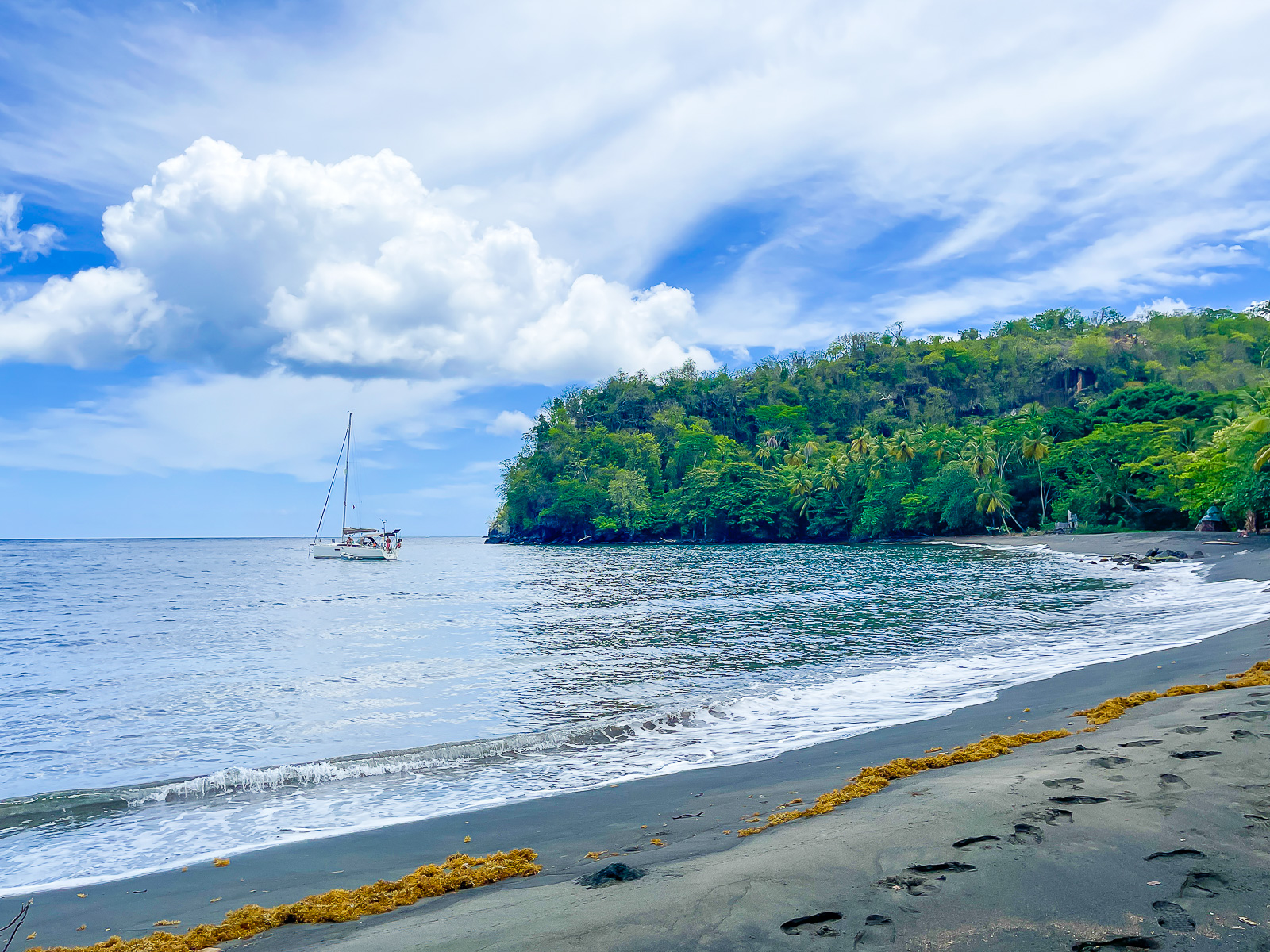 Grenada volcanic black sand beach with a catamaran floating on top of the calm, clear water, and a mangrove in the distance.