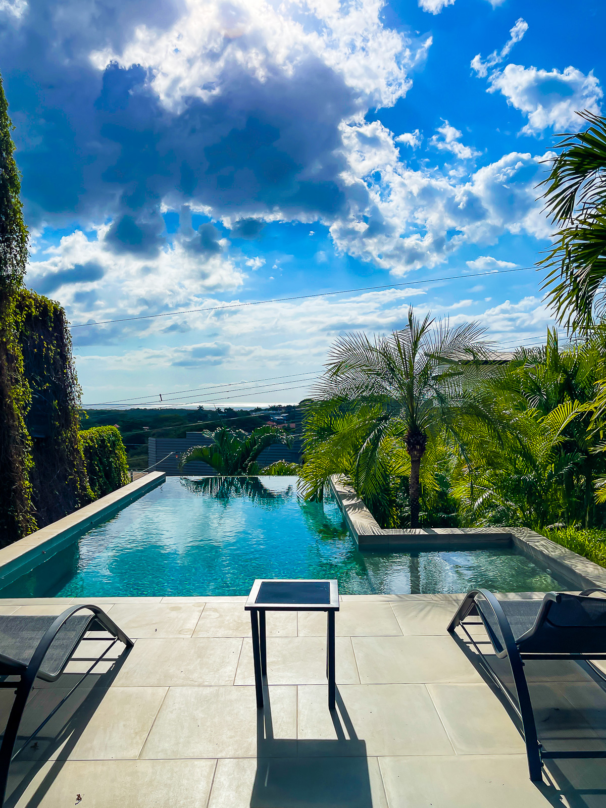 infinity pool lined with palm trees overlooking the town of Tamarindo.